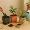 flower-pots-for-home-decoration webp