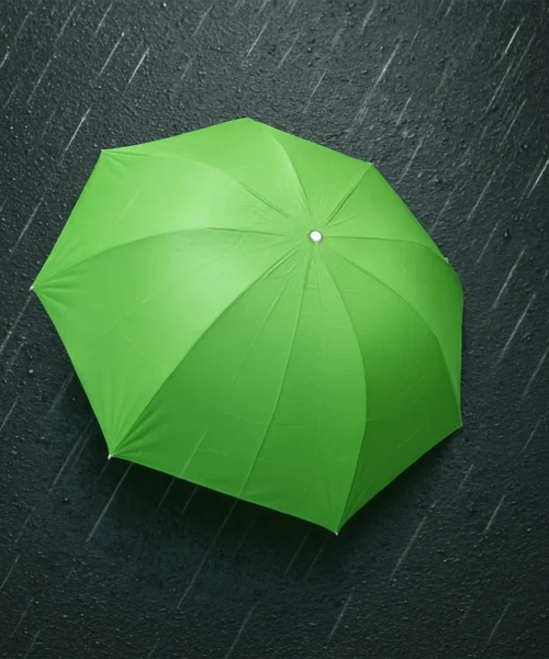 mini-umbrella webp