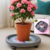 multi-purpose-gas-cylinder-trolley-with-wheels webp