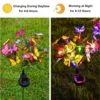 outdoor-lights webp