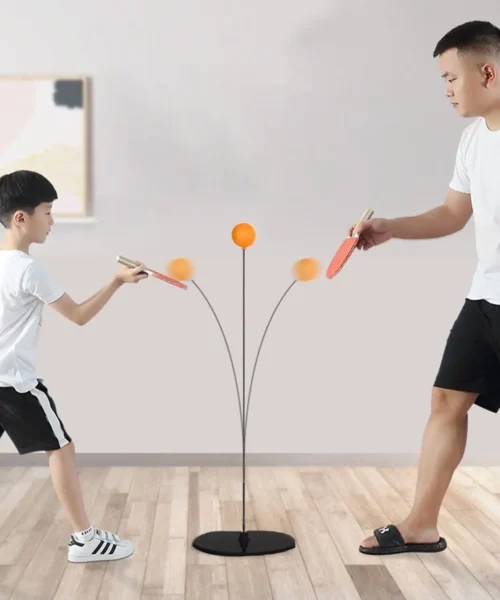 ping-pong-trainer webp