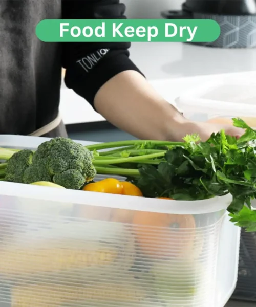 plastic-container-2 webp