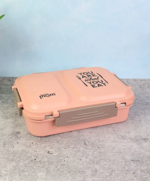 stainless-steel-lunch-box-for-office-1 webp