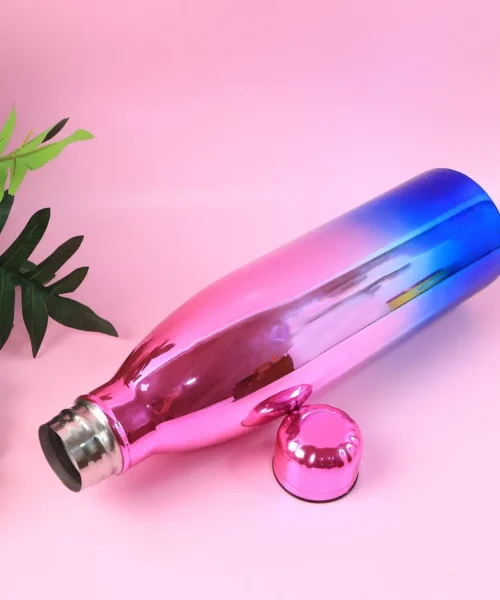 stainless-steel-water-bottle-for-gym webp