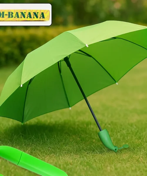 umbrella-1-3 webp