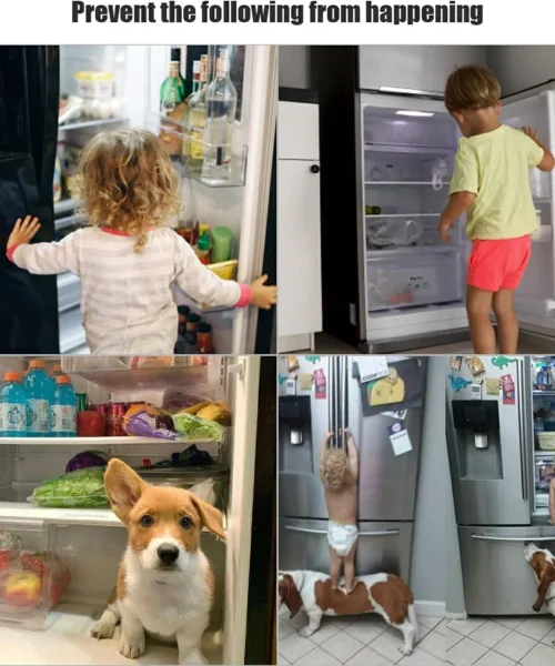 baby-safety-door-lock-for-fridge webp