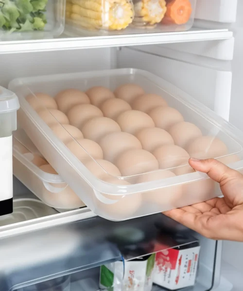 egg-container webp