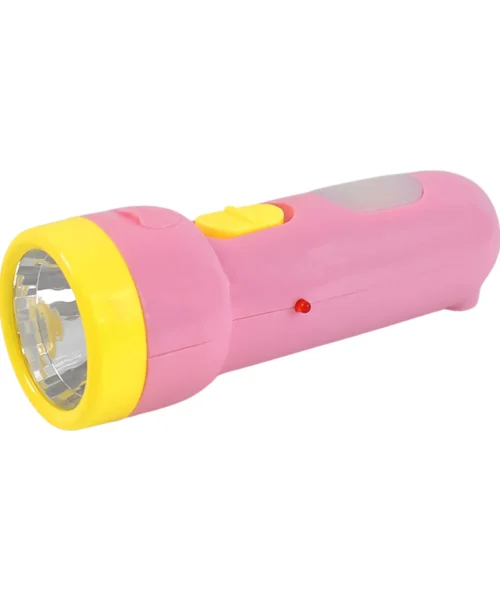 handheld-torch webp
