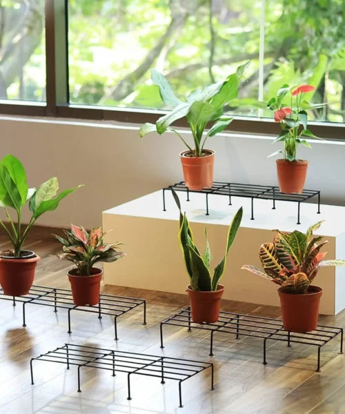 plant-stand-1 webp
