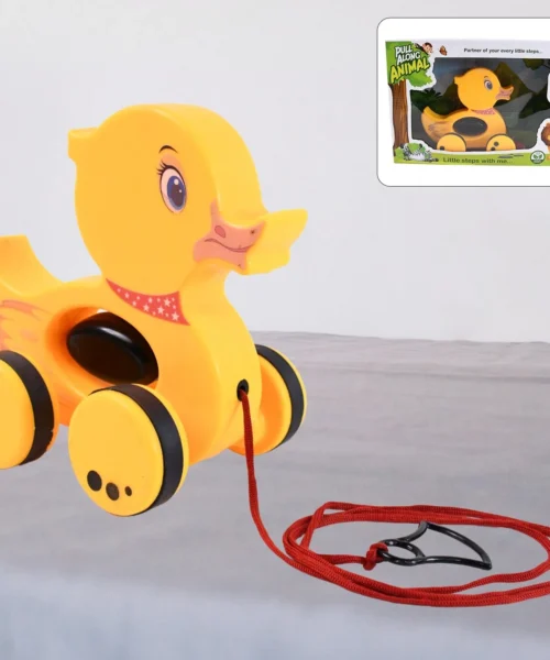 pull-along-toy webp