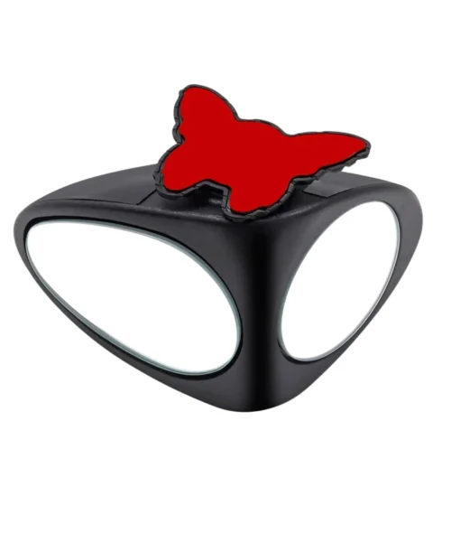 side-mirror webp