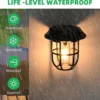 solar-lantern-1 webp