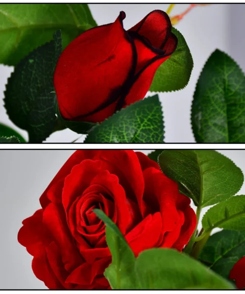 artificial-plant-1-1 webp