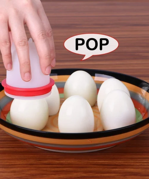 best-egg-cooker-for-indian-kitchen webp