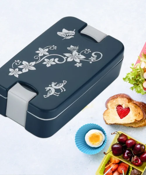 best-lunch-box-for-office webp