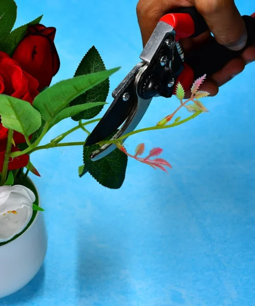best-pruners-for-plants webp