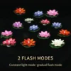 candles-2 webp