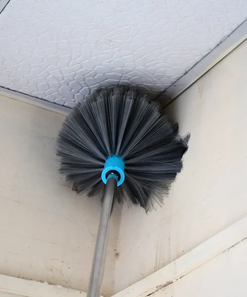 cobweb-brush-1 webp
