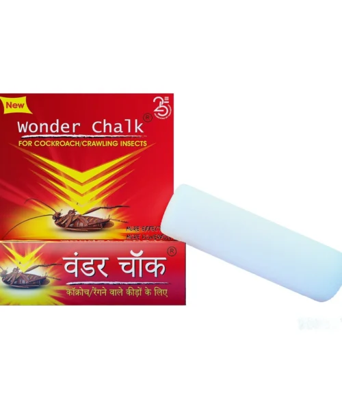 cockroach-chalk-1 webp