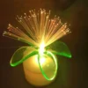 decorative-light-1 webp