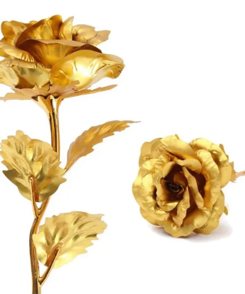 decorative-pieces-for-home-and-office webp