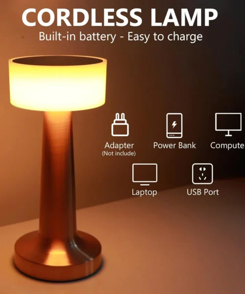 desk-lamp-2-1 webp