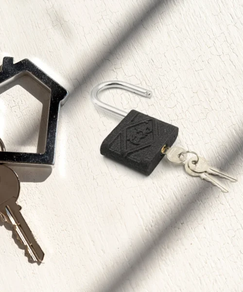 door-lock-3 webp