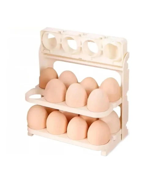 egg-holder webp