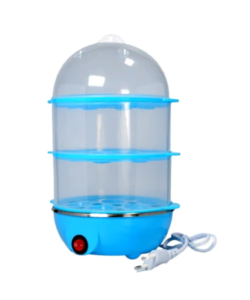 electric-steamer webp