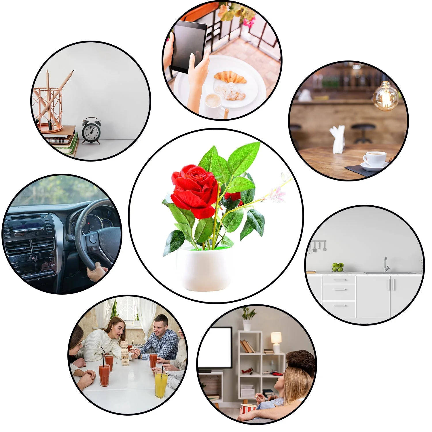 flower-plant-1-1 webp