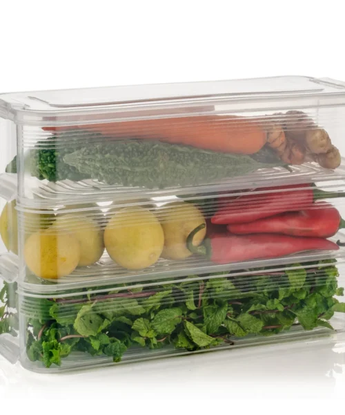 freezer-storage-container webp