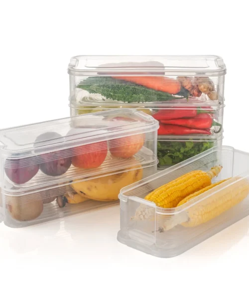 fridge-storage-container-1 webp