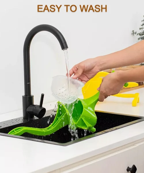 fruit-juicer-1 webp