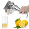 fruit-press-juicer webp