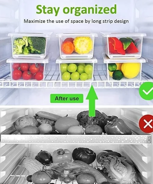 fruit-storage-container webp