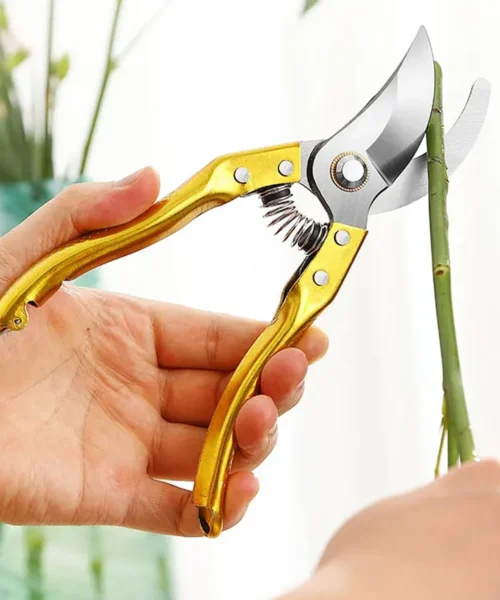 gardening-tools webp