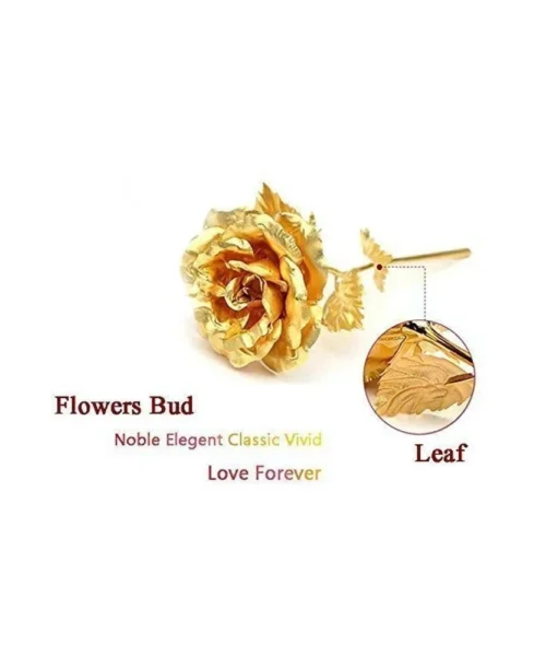 gift-box-rose webp