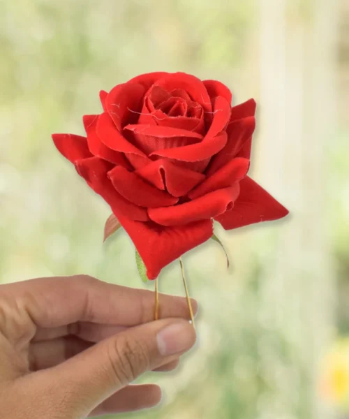hair-clip-1 webp