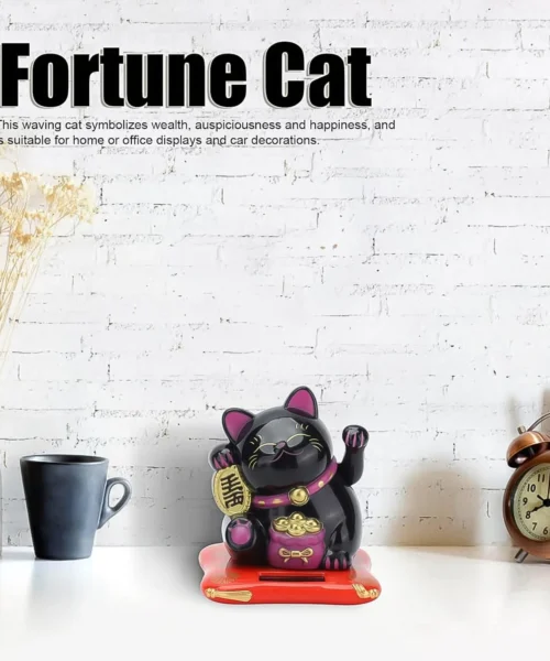 home-decor-cat webp