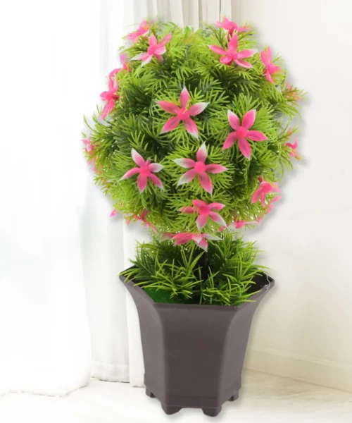indoor-plant-1 webp