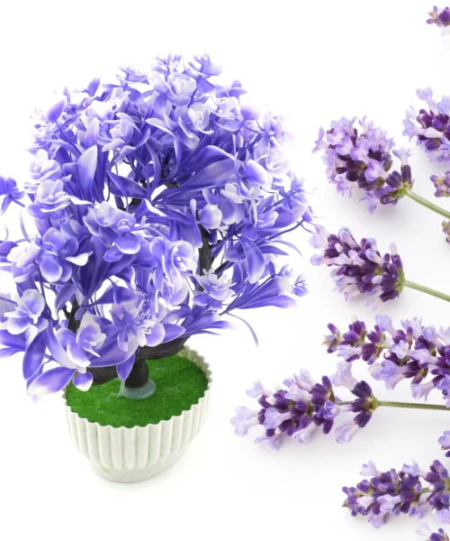 indoor-plant-2 webp