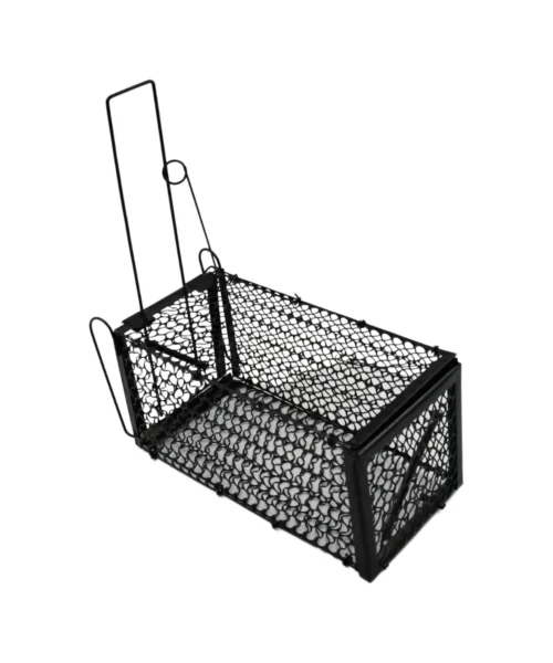 live-mouse-trap webp