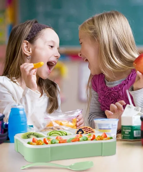 lunch-box-16 webp