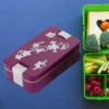 lunch-box-with-spoon webp
