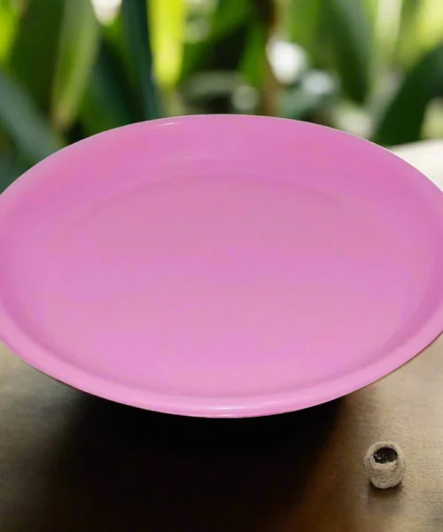 mini-soup-dishes-for-parties webp