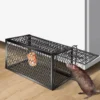 mouse-trap webp