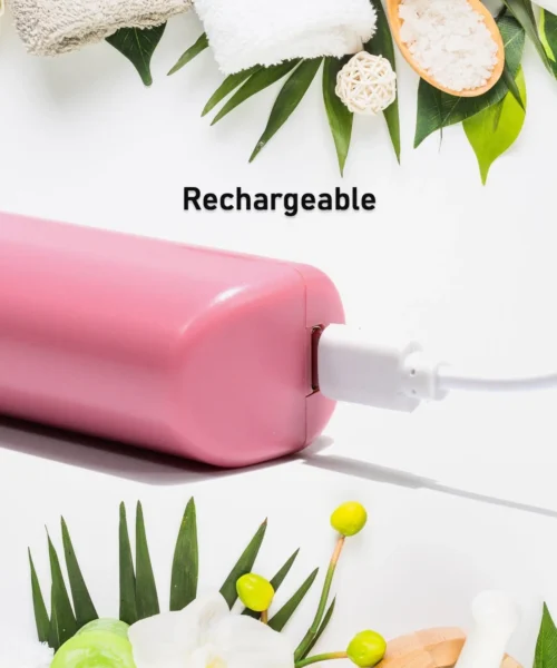 portable-hair-straightener-with-temperature-control webp