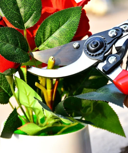 pruners webp