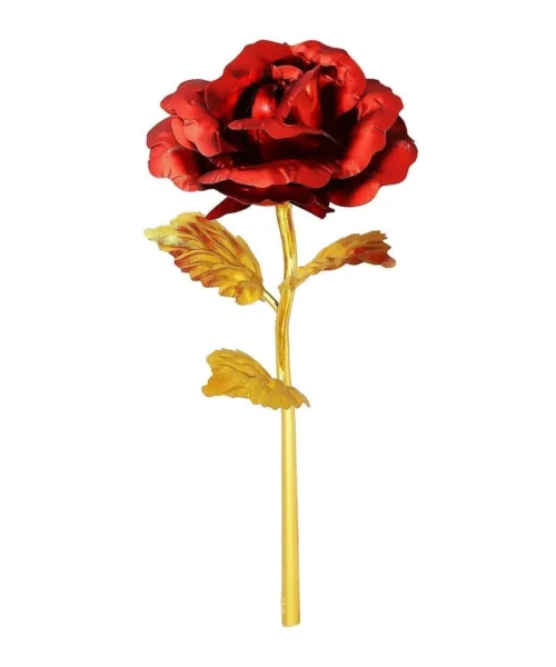 red-rose webp
