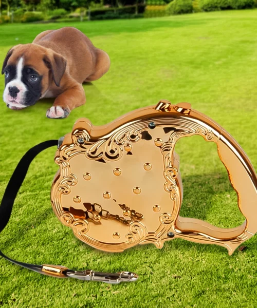 retractable-belt-1 webp